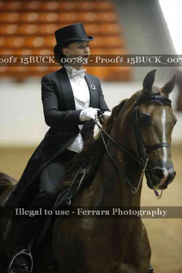 Proof 15BUCK_00783