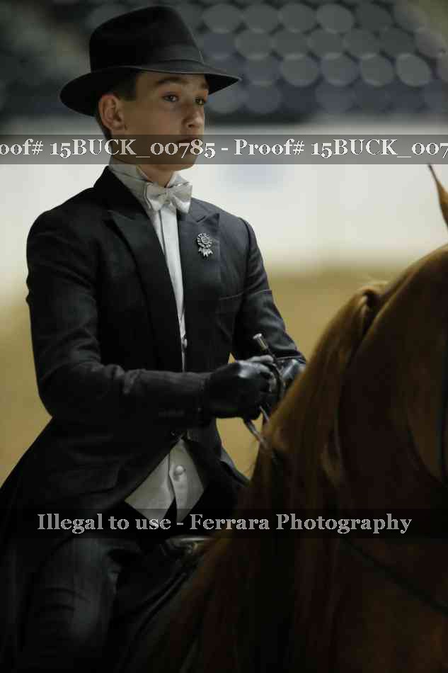 Proof 15BUCK_00785