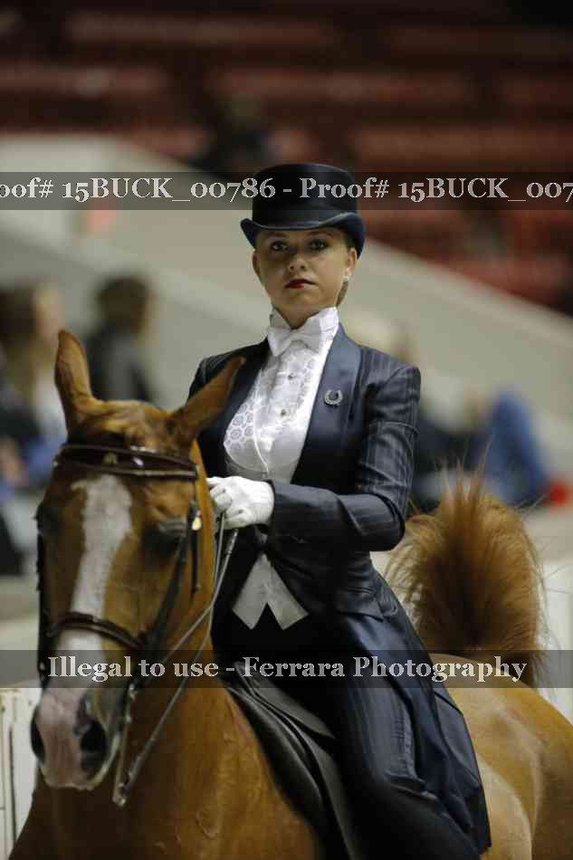 Proof 15BUCK_00786