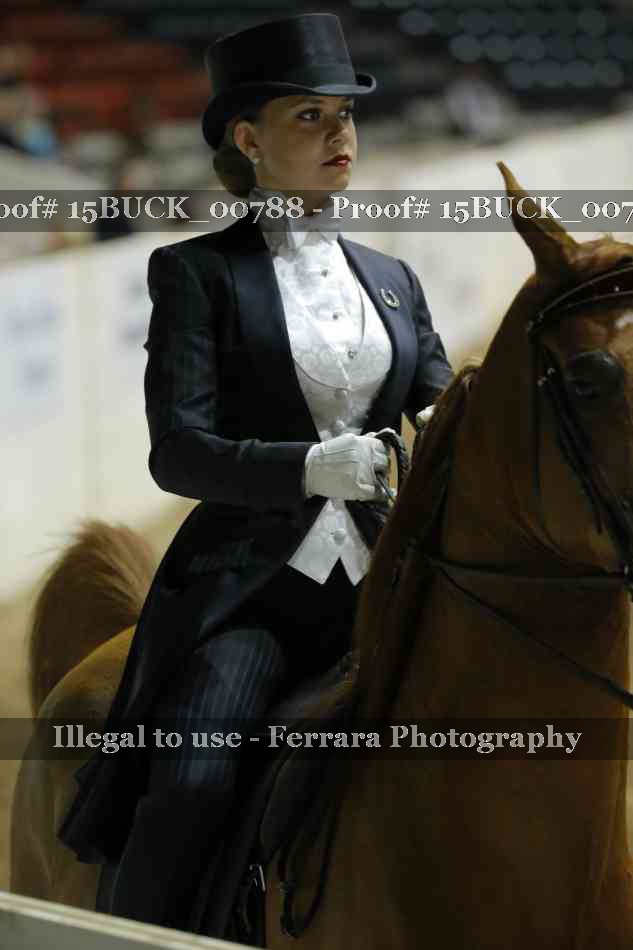 Proof 15BUCK_00788