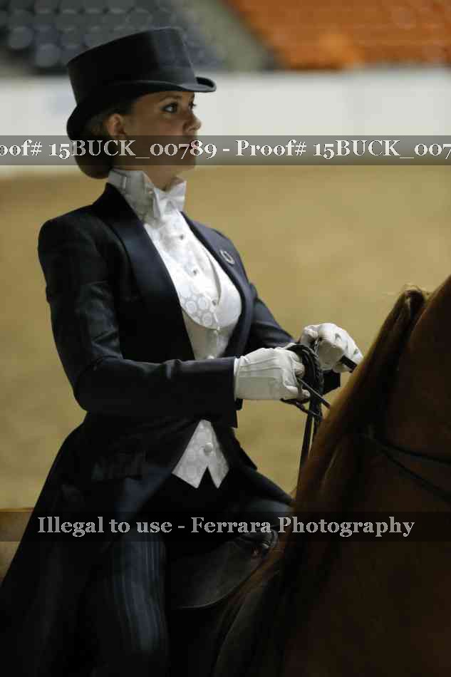 Proof 15BUCK_00789