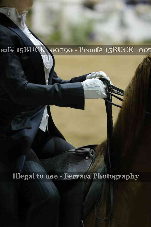 Proof 15BUCK_00790