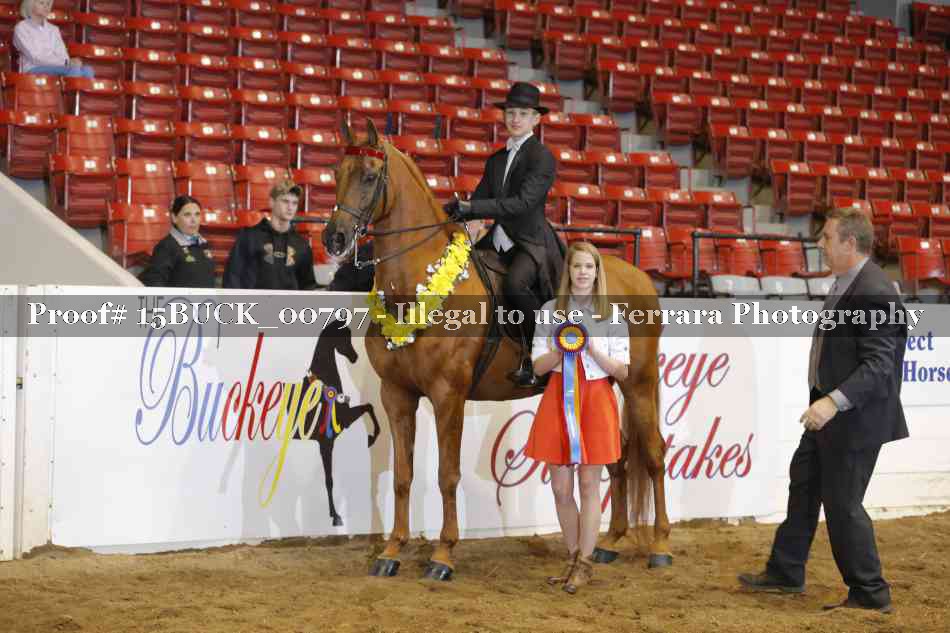 Proof 15BUCK_00797