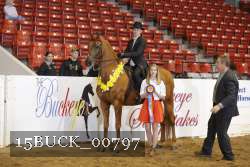 15BUCK_00797 proof