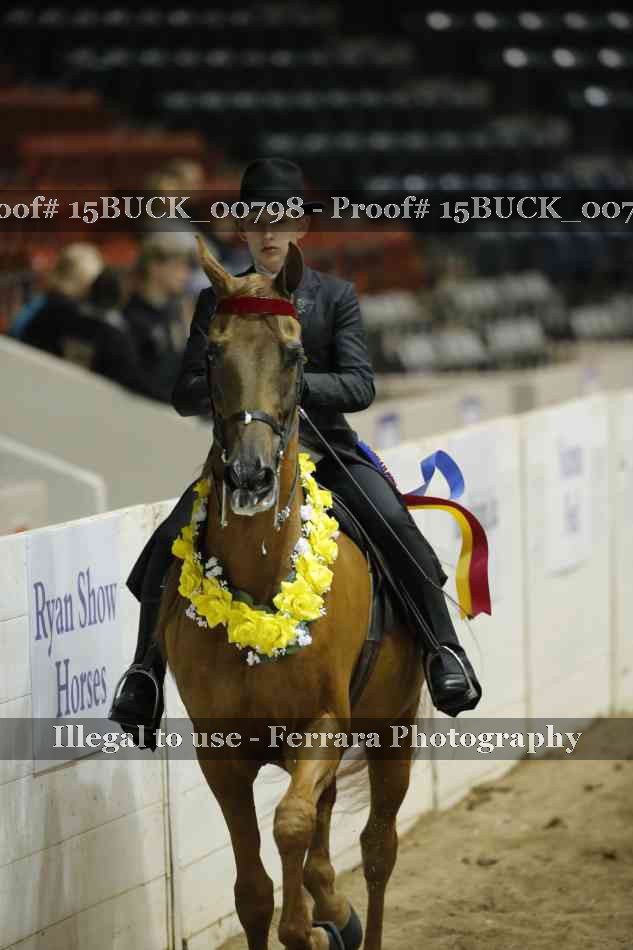 Proof 15BUCK_00798
