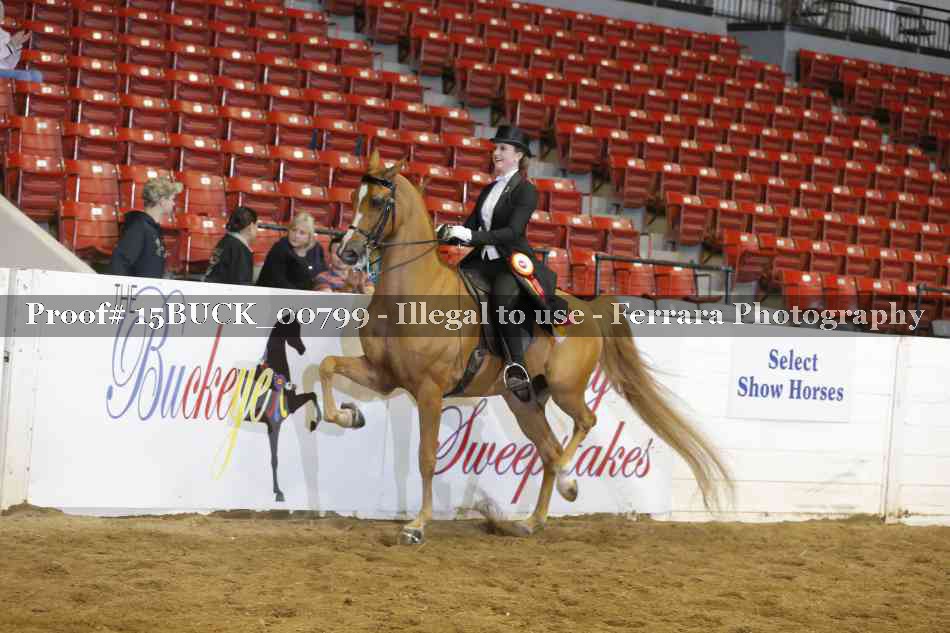 Proof 15BUCK_00799