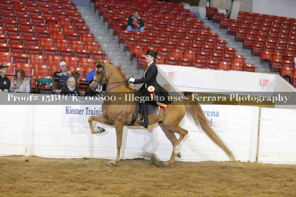 Proof 15BUCK_00800