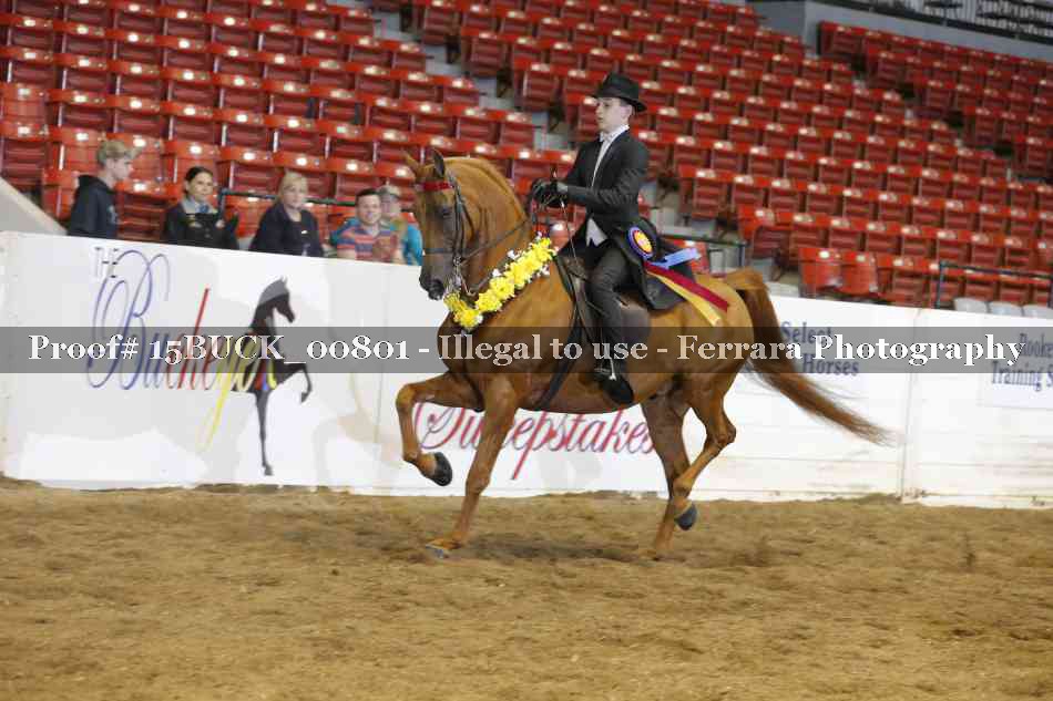 Proof 15BUCK_00801