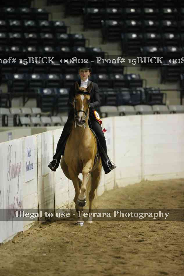 Proof 15BUCK_00802