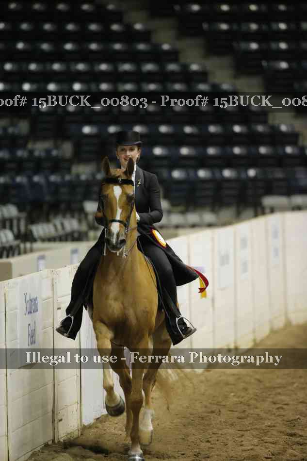 Proof 15BUCK_00803