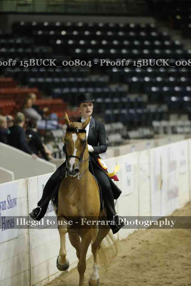 Proof 15BUCK_00804