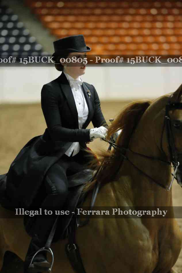 Proof 15BUCK_00805