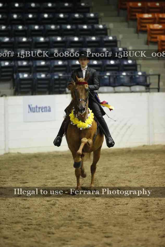 Proof 15BUCK_00806