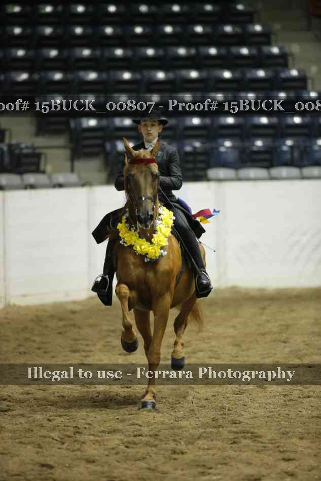 Proof 15BUCK_00807