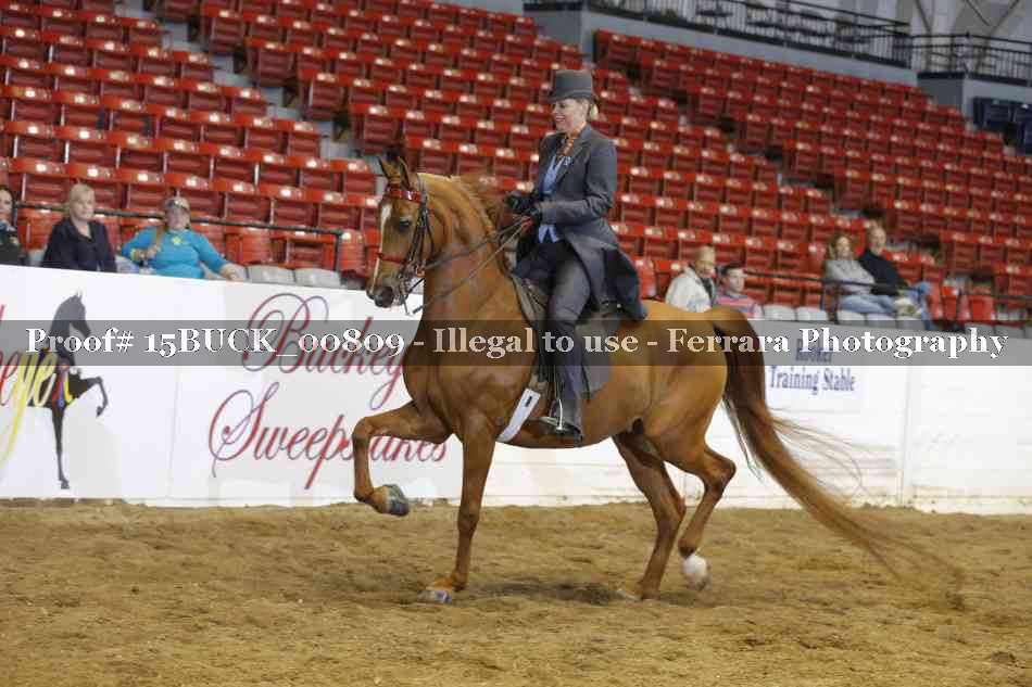 Proof 15BUCK_00809