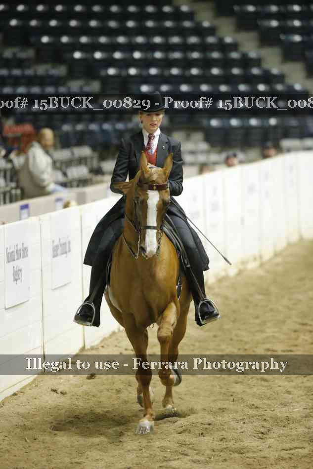 Proof 15BUCK_00829