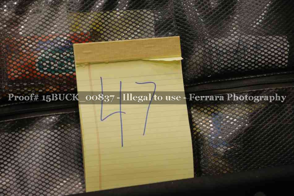 Proof 15BUCK_00837