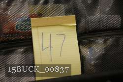 15BUCK_00837 proof