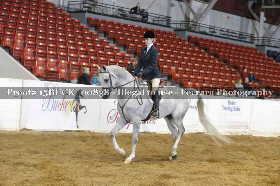 Proof 15BUCK_00838