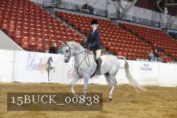 15BUCK_00838 proof