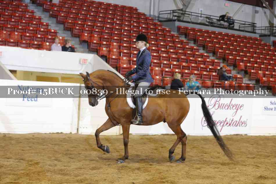 Proof 15BUCK_00839