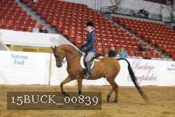 15BUCK_00839 proof