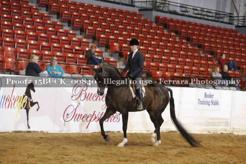 Proof 15BUCK_00840