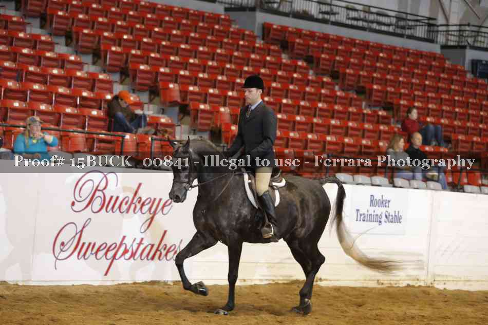 Proof 15BUCK_00841