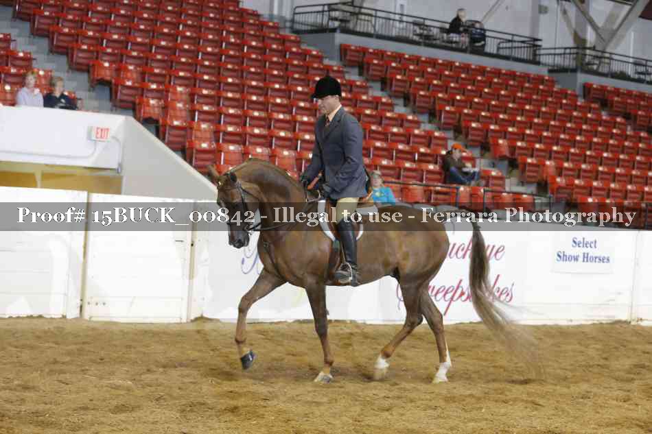 Proof 15BUCK_00842