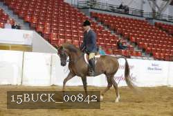 15BUCK_00842 proof