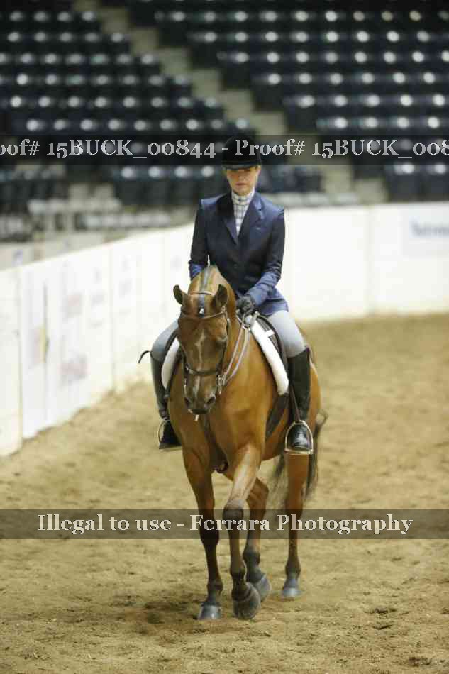 Proof 15BUCK_00844