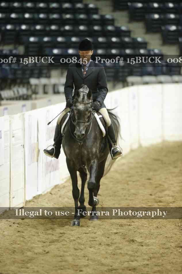 Proof 15BUCK_00845