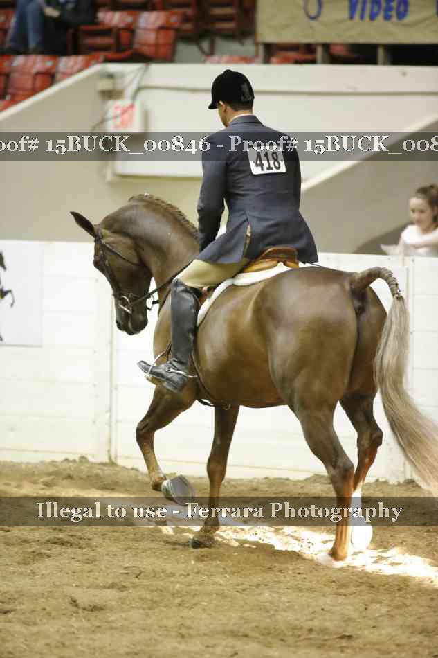 Proof 15BUCK_00846