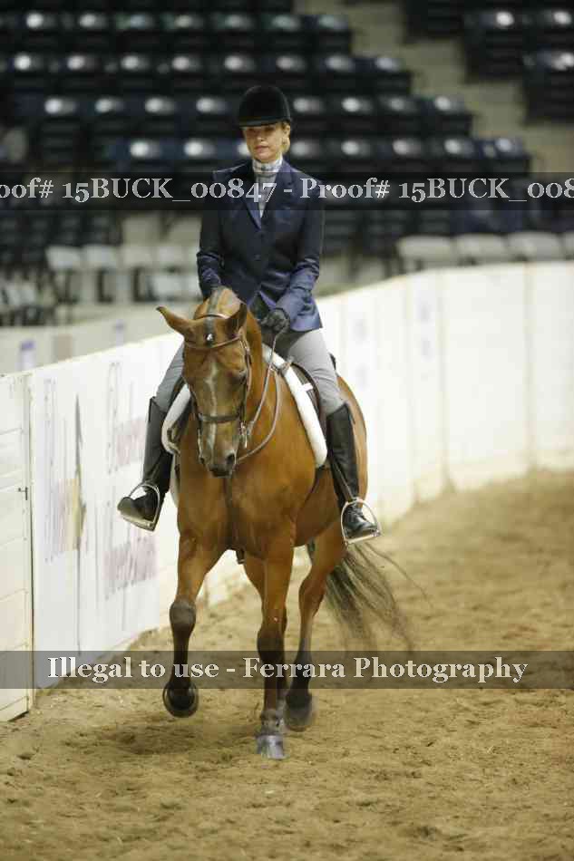 Proof 15BUCK_00847