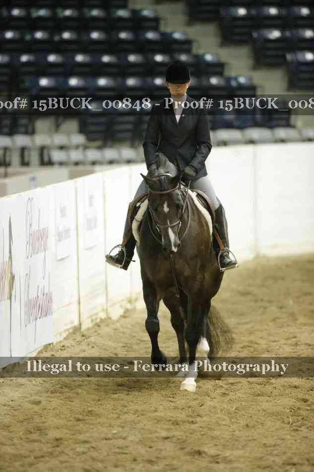 Proof 15BUCK_00848