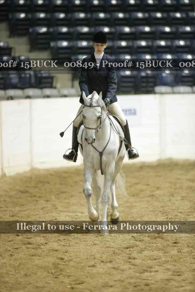 Proof 15BUCK_00849
