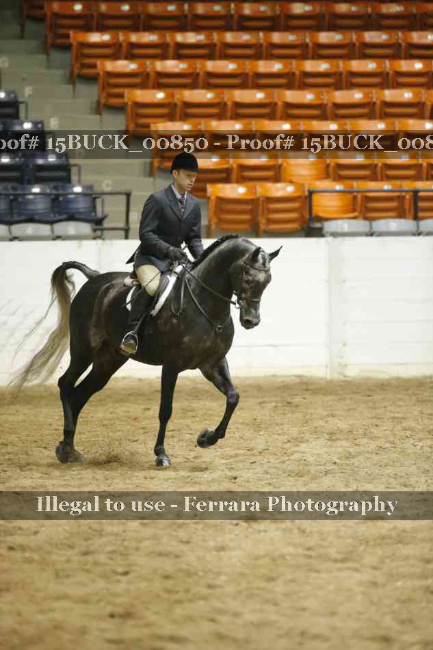 Proof 15BUCK_00850