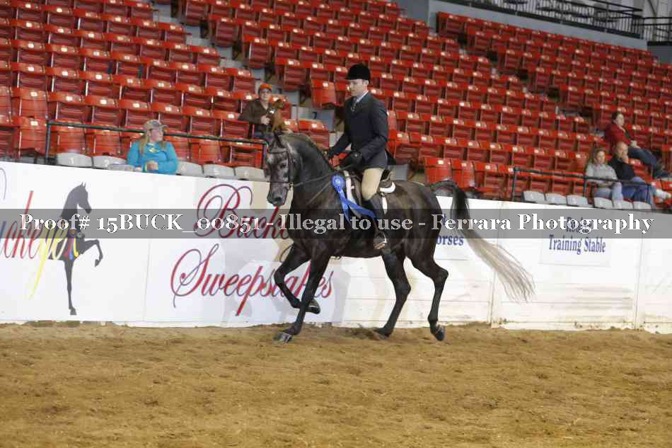 Proof 15BUCK_00851