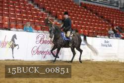 15BUCK_00851 proof