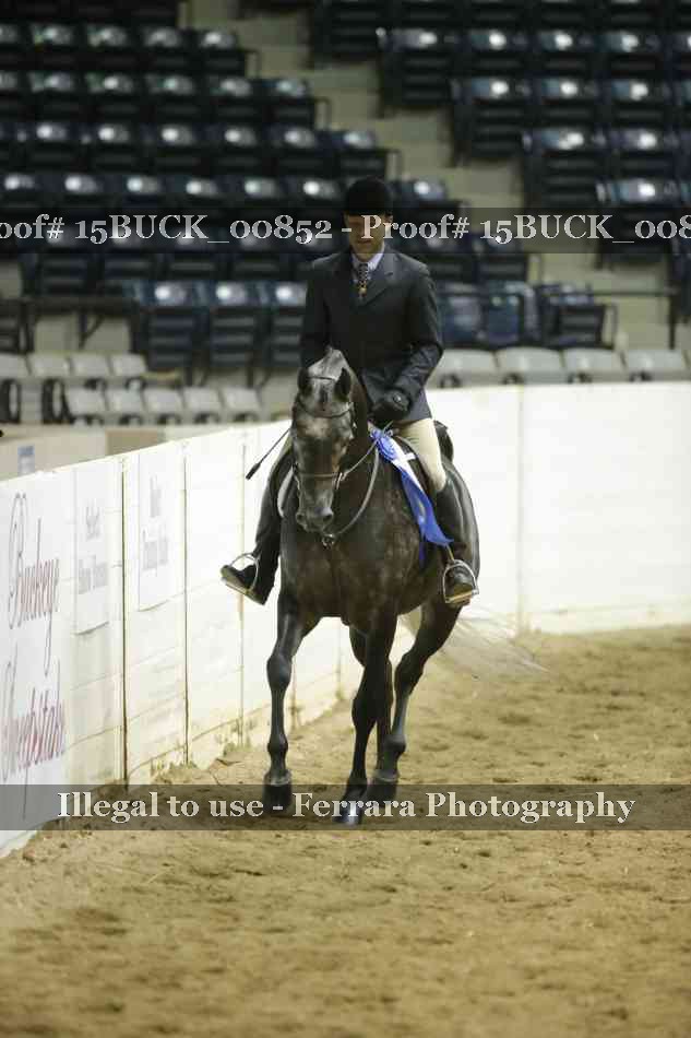 Proof 15BUCK_00852