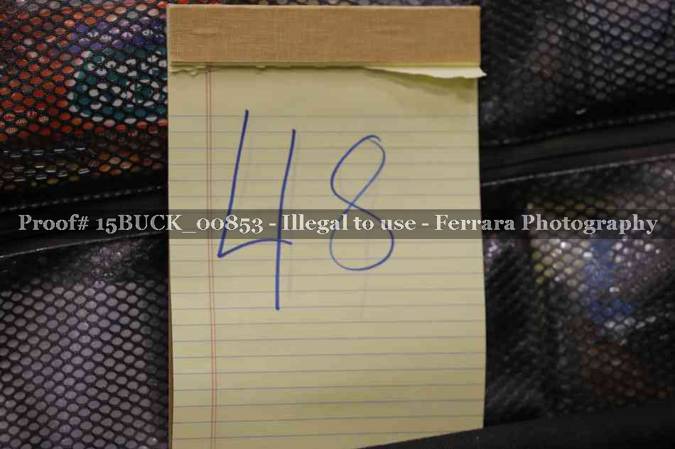 Proof 15BUCK_00853