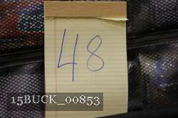 15BUCK_00853 proof