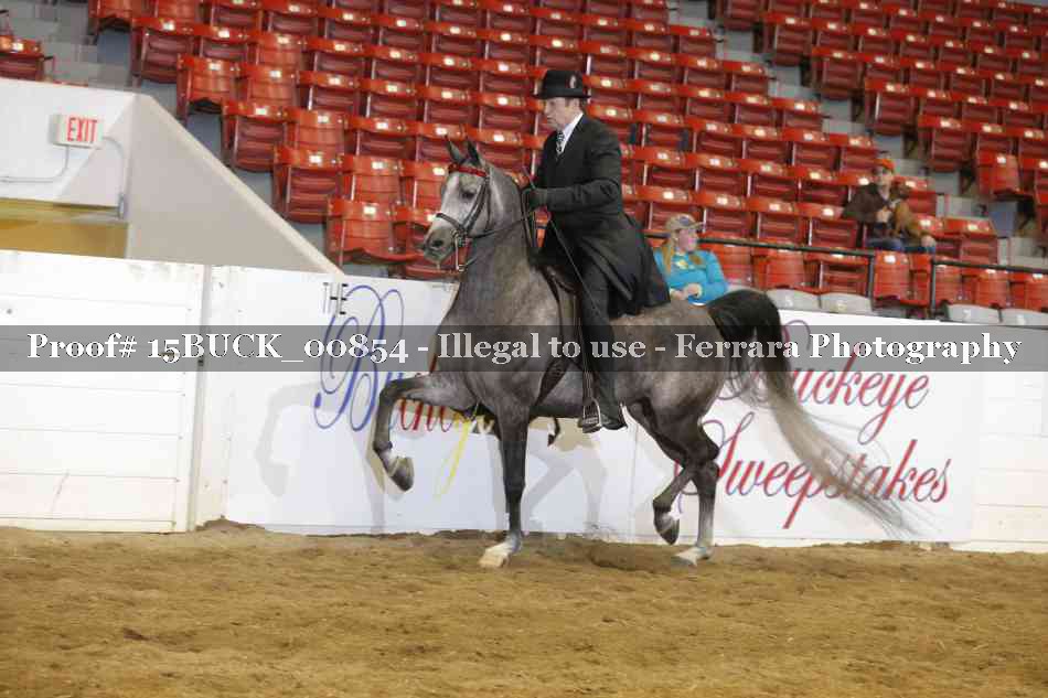 Proof 15BUCK_00854