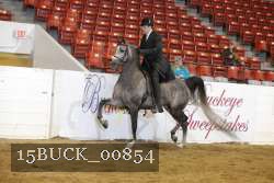 15BUCK_00854 proof