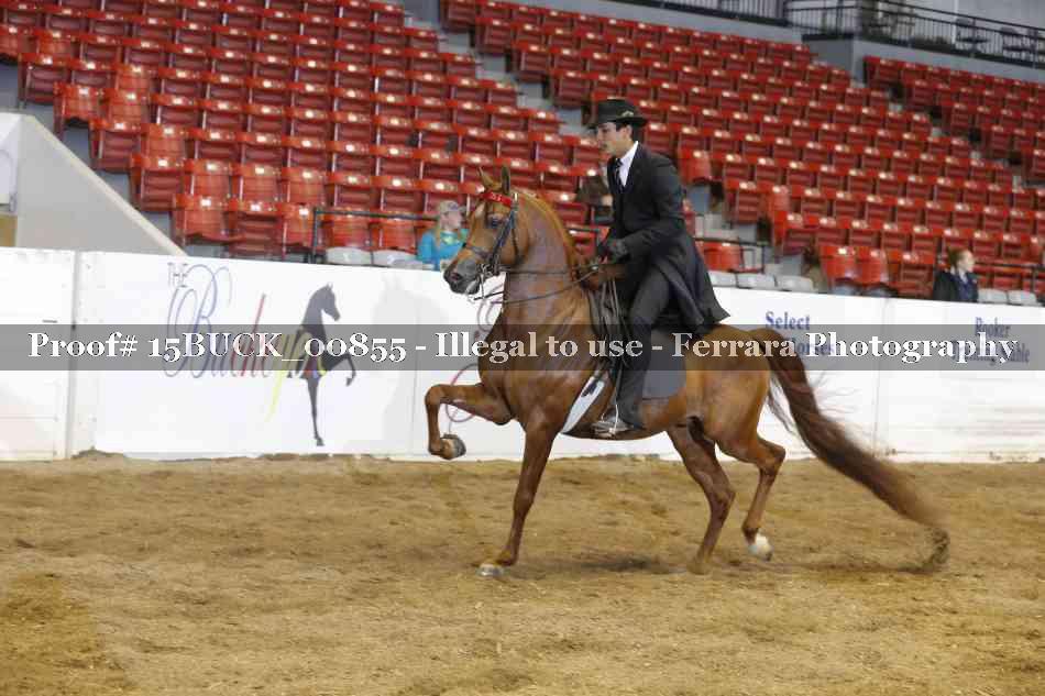 Proof 15BUCK_00855