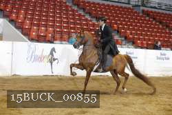 15BUCK_00855 proof