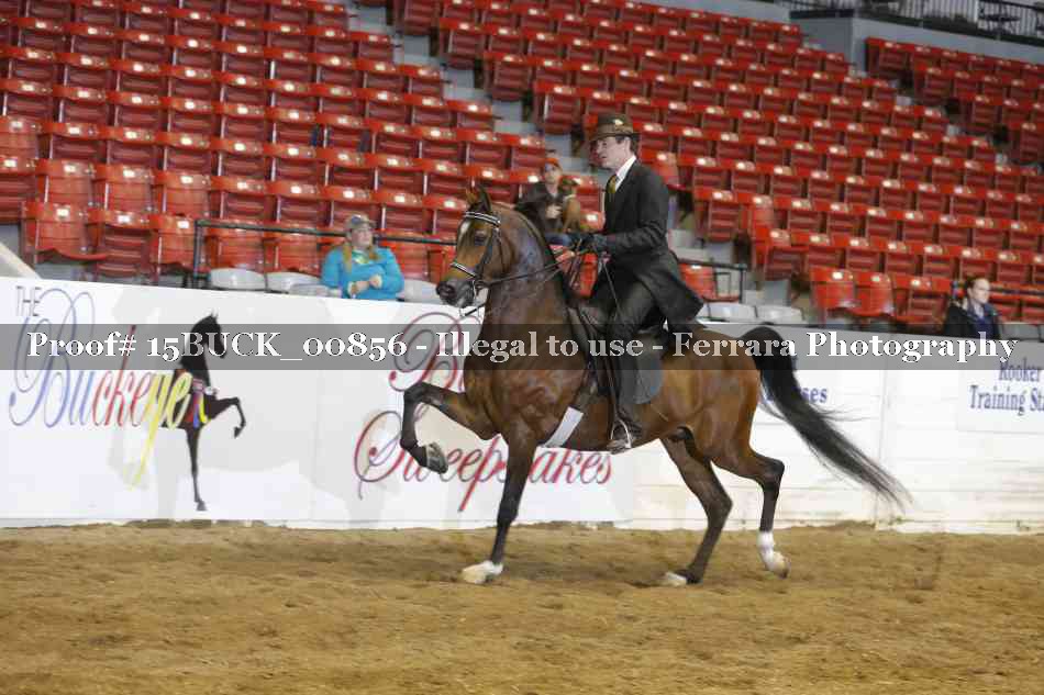 Proof 15BUCK_00856