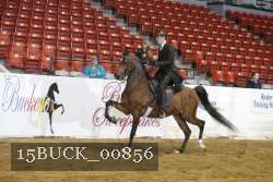 15BUCK_00856 proof