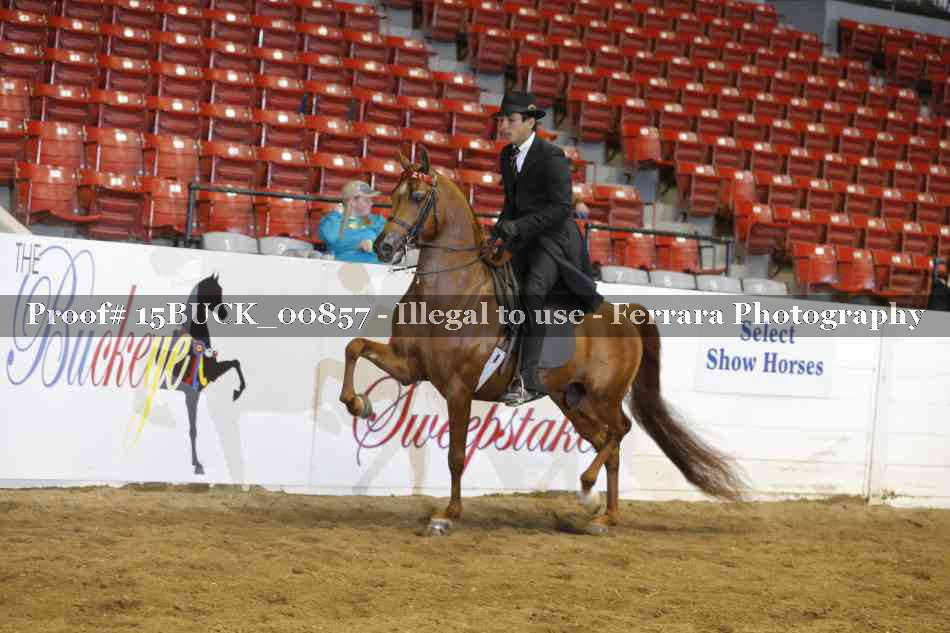 Proof 15BUCK_00857