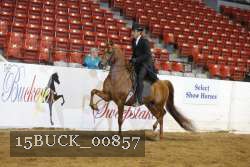 15BUCK_00857 proof